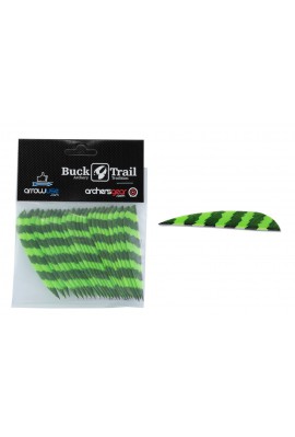 BUCK TRAIL PAQUET (x24) PLUMES PARA RAYÉES 3"