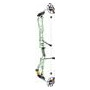 MATHEWS TITLEatt