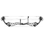 COMPOUND BOWTECH RECKONING GEN2 36